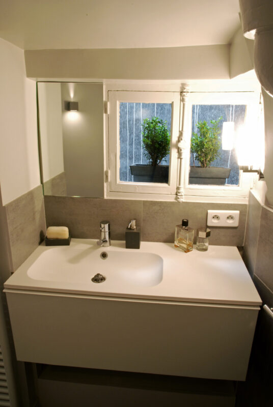 Appartement Paris - Meuble Vasque et Fenêtre