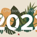 Bonne Année 2022